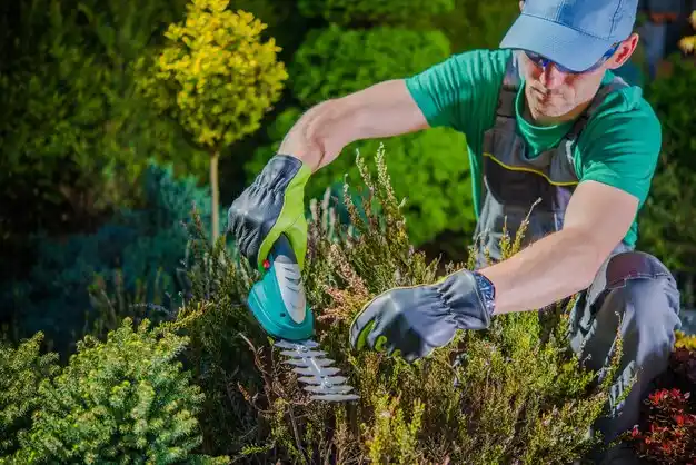landscaping services Leavittsburg